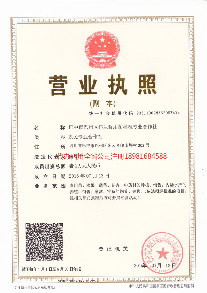 大冶大冶伟兰食用菌种植专业合作社